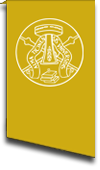 University of Pavia